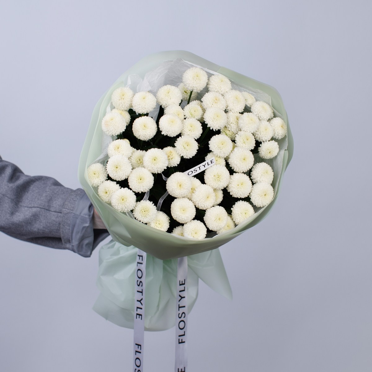 hrizantema kustovaya 5